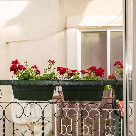 Arrabida House Apartment Сетубал Екстериор снимка